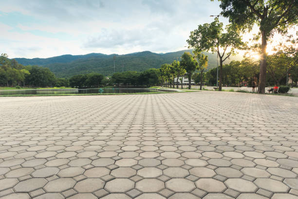 Best Custom Driveway Pavers  in Bellefonte, DE